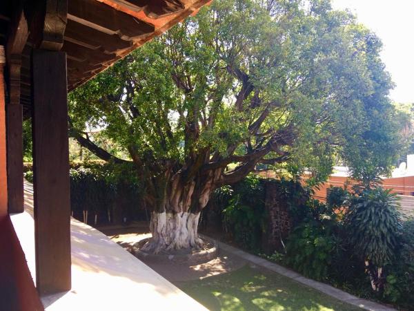 San Angelo : photo 5 de la chambre chambre lit king-size