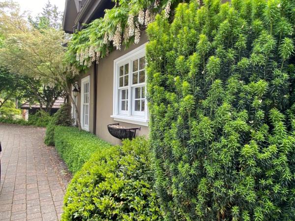 Amante Luxury Bed & Breakfast : photo 9 de la chambre cottage côté ruisseau avec bain à remous privé