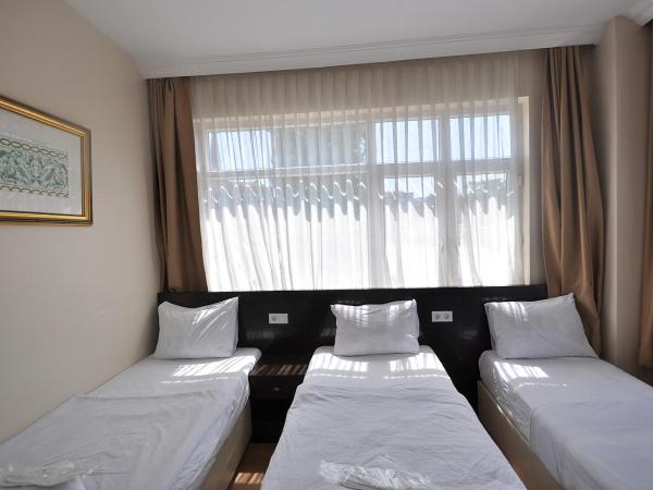 Hotel Baykal : photo 5 de la chambre chambre triple