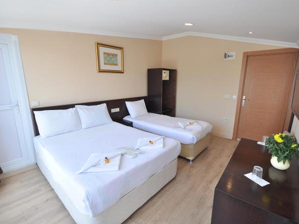 Hotel Baykal : photo 7 de la chambre chambre triple avec balcon