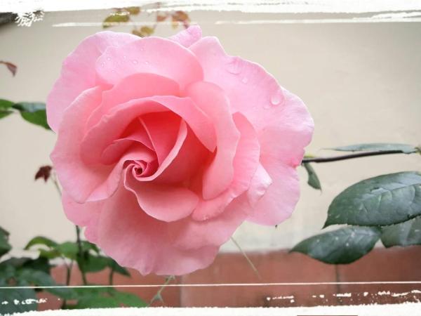 Dimora Del Magnifico : photo 6 de la chambre chambre triple avec salle de bains privative