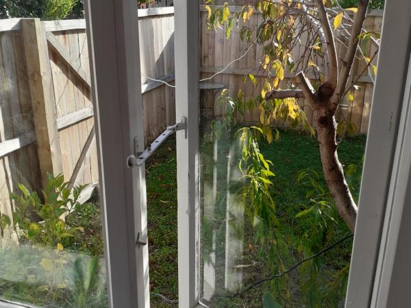 Intrepid Bed & Breakfast : photo 5 de la chambre chambre familiale deluxe