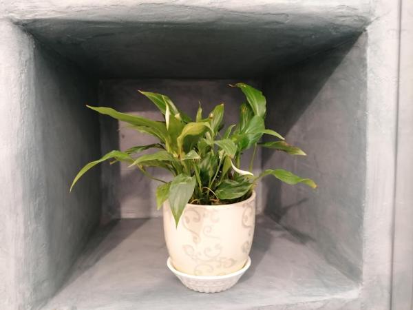 La Casa del Cuore : photo 3 de la chambre chambre double supérieure