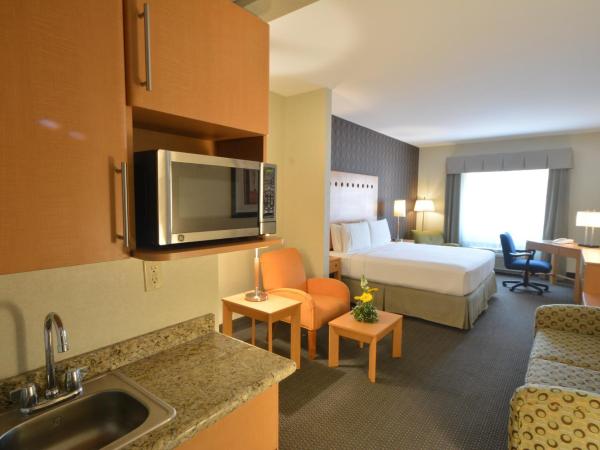 Holiday Inn Express & Suites Monterrey Aeropuerto, an IHG Hotel : photo 3 de la chambre suite lit king-size