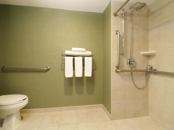 Holiday Inn Express & Suites Monterrey Aeropuerto, an IHG Hotel : photo 5 de la chambre chambre lit king-size standard - accessible aux personnes à mobilité réduite