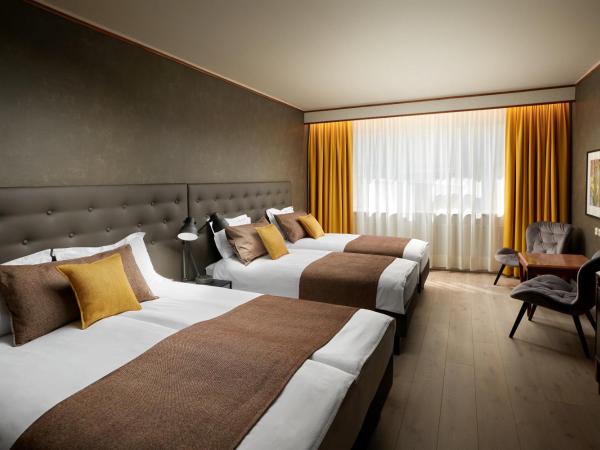 Hotel Ísland - Spa & Wellness Hotel : photo 1 de la chambre chambre lits jumeaux supérieure - accès gratuit au spa