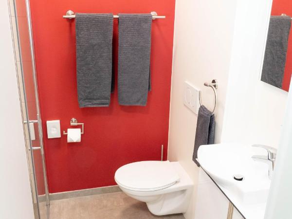 Anstatthotel Horw - self-check-in : photo 3 de la chambre studio lits jumeaux standard