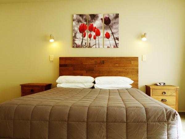 Rotorua Coachman Spa Motel : photo 1 de la chambre suite confort avec bain à remous