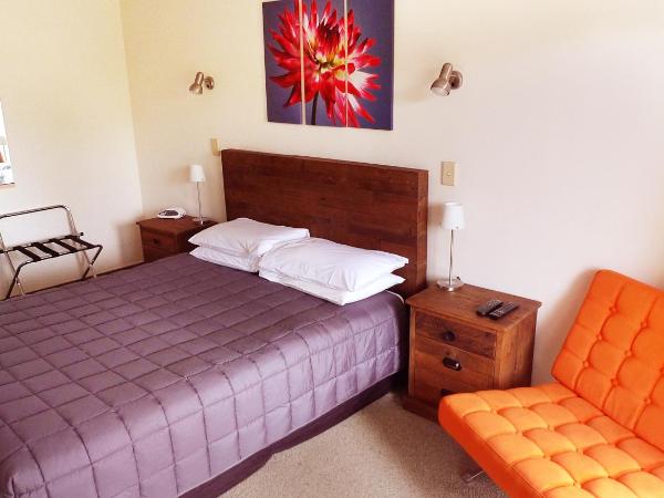 Rotorua Coachman Spa Motel : photo 2 de la chambre studio standard (sans bain à remous)