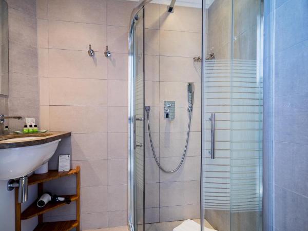 Le Rabelais : photo 10 de la chambre chambre double avec terrasse