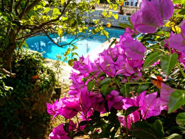 Villa Cinque Pini : photo 10 de la chambre chambre double Économique