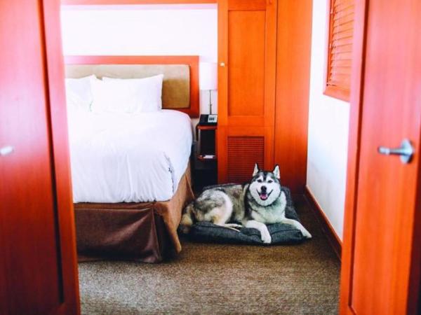 Pan Pacific Whistler Village Centre : photo 2 de la chambre room #7648212