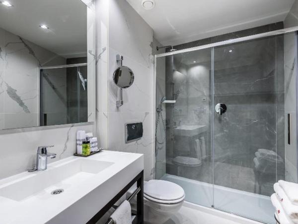 Intelier Palacio San Martin : photo 6 de la chambre room #9073541