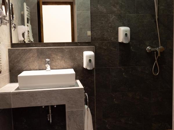 Vén Diófa De Lux Panzió : photo 7 de la chambre chambre lits jumeaux