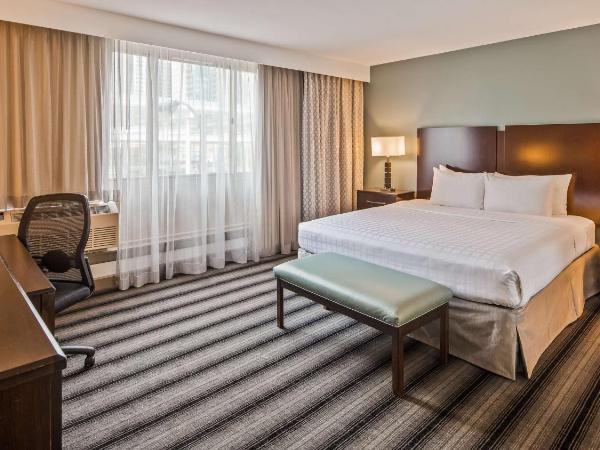 Best Western Chicago Downtown-River North : photo 2 de la chambre suite lit king-size de luxe avec douche accessible en fauteuil roulant - adaptée aux personnes à mobilité réduite