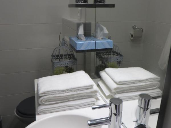 Hotel Régina : photo 7 de la chambre chambre double avec terrasse