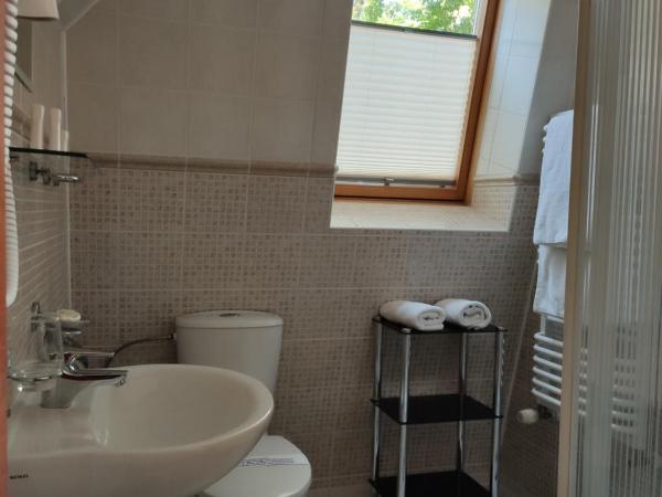 Willa Pod Dębami : photo 4 de la chambre chambre lits jumeaux standard