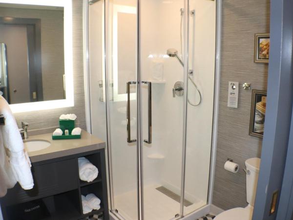 Hotel Indigo - St. Louis - Downtown, an IHG Hotel : photo 1 de la chambre chambre lit king-size