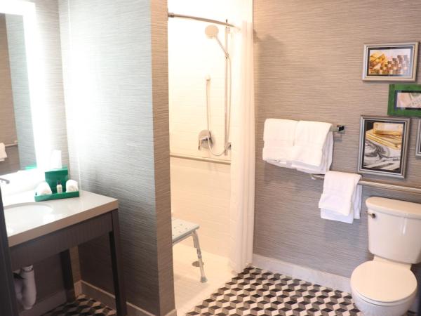 Hotel Indigo - St. Louis - Downtown, an IHG Hotel : photo 2 de la chambre chambre double pour personnes à mobilité réduite avec douche accessible en fauteuil roulant