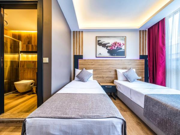 RUSH HOTEL İSTANBUL : photo 7 de la chambre chambre double ou lits jumeaux standard