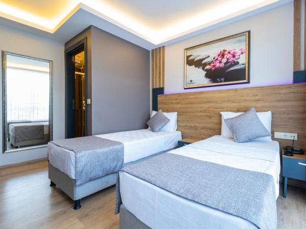 RUSH HOTEL İSTANBUL : photo 8 de la chambre chambre double ou lits jumeaux standard