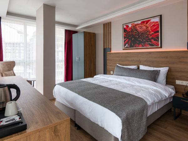 RUSH HOTEL İSTANBUL : photo 1 de la chambre chambre familiale