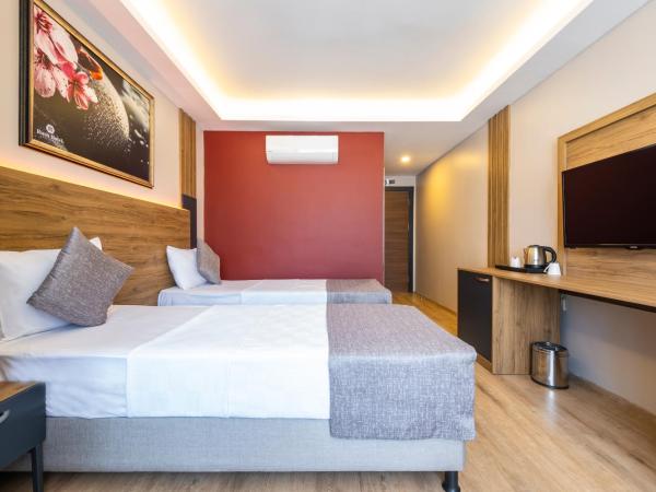 RUSH HOTEL İSTANBUL : photo 2 de la chambre chambre triple classique