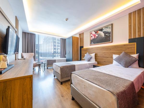 RUSH HOTEL İSTANBUL : photo 1 de la chambre chambre triple classique