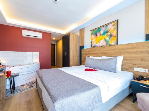 RUSH HOTEL İSTANBUL : photo 2 de la chambre chambre deluxe