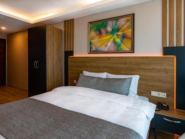 RUSH HOTEL İSTANBUL : photo 2 de la chambre chambre double