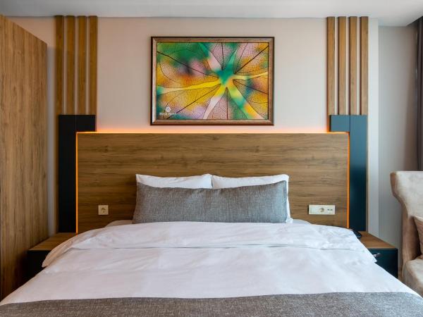 RUSH HOTEL İSTANBUL : photo 1 de la chambre chambre double