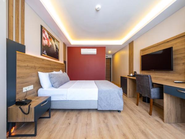 RUSH HOTEL İSTANBUL : photo 1 de la chambre chambre double ou lits jumeaux standard