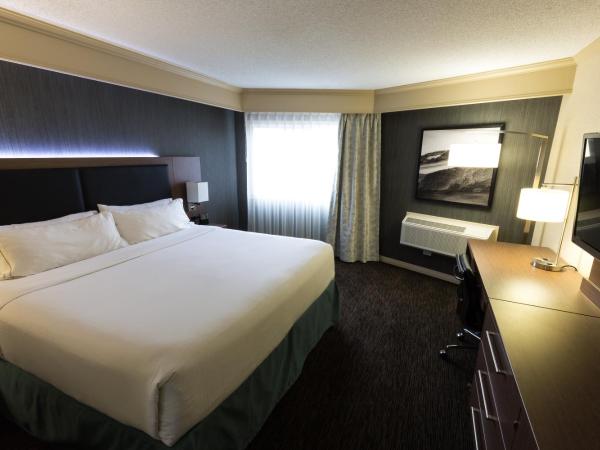 Holiday Inn Express Edmonton Downtown, an IHG Hotel : photo 9 de la chambre chambre king standard avec balcon