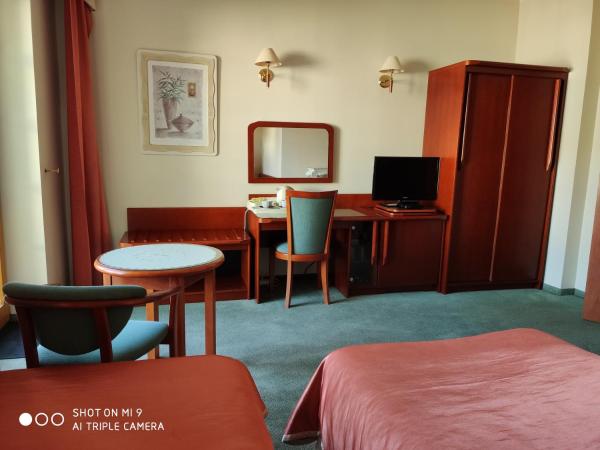 Willa Pod Dębami : photo 2 de la chambre chambre lits jumeaux standard