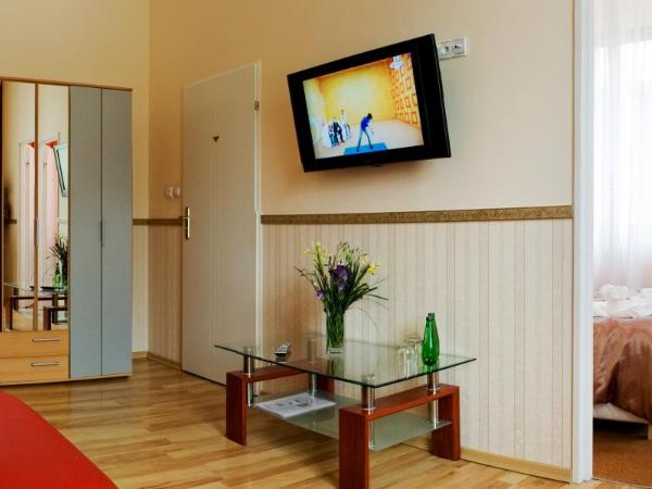 Perła Karkonoszy SPA : photo 1 de la chambre appartement familial (2 adultes + 1 enfant) 