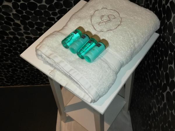 Wellness Sweet Bonihu B&B : photo 10 de la chambre chambre double sans baignoire spa - vue sur jardin