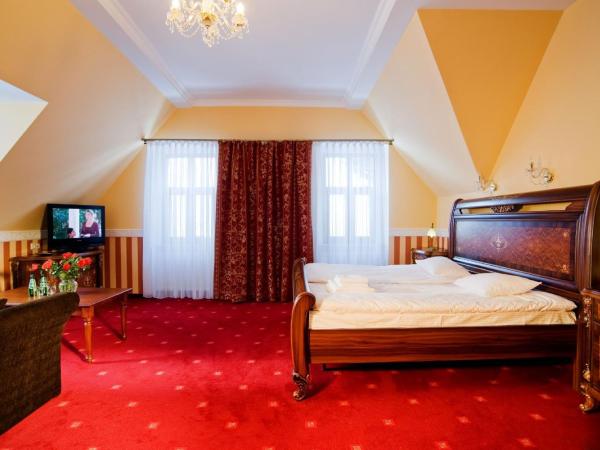 Pałac Margot Nature&SPA : photo 6 de la chambre chambre premium de luxe