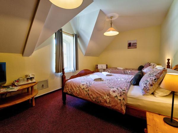Penzion Onyx : photo 7 de la chambre chambre familiale