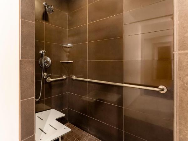 Hyatt House Salt Lake City Downtown : photo 2 de la chambre chambre lit king-size - accessible aux personnes à mobilité réduite