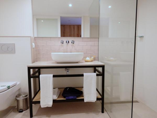 Hotel Calina : photo 9 de la chambre studio - vue sur montagne