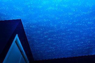 Guest House Laule'a Tennoji : photo 5 de la chambre room #515885833