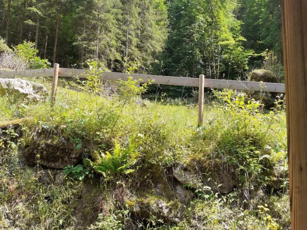 chalet le plan du rtia : photo 1 de la chambre chambre double