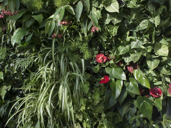 Domitys Les Cigales du Lubéron : photo 2 de la chambre appartement confort 1 chambre