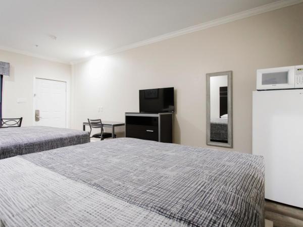 Palace Inn TX-249 : photo 9 de la chambre kitchenette suite - smoking