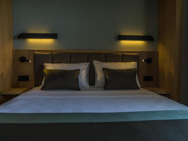 Premier Nergis Beach & SPA : photo 7 de la chambre chambre double deluxe - vue sur mer