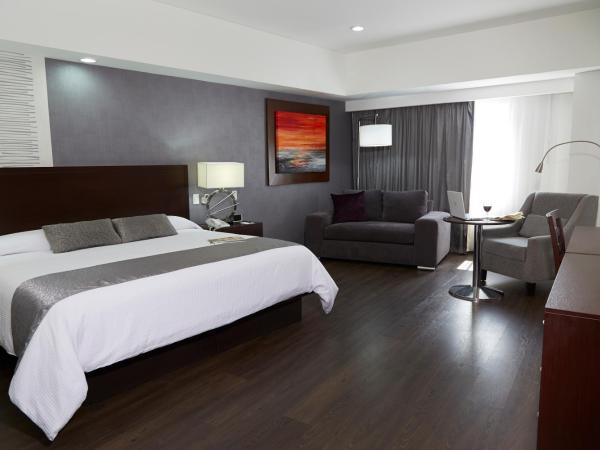 Ejecutivo Express Guadalajara Providencia - Av México : photo 7 de la chambre suite exécutive
