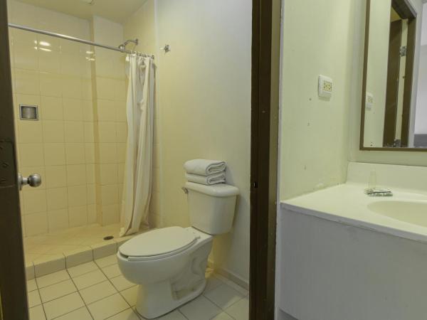 Hotel Plaza del Arco Express : photo 5 de la chambre chambre double