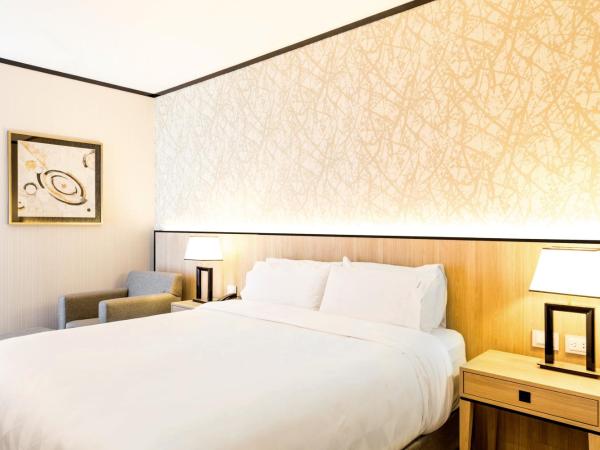 Holiday Inn Rosario, an IHG Hotel : photo 6 de la chambre chambre lit king-size loisirs - non-fumeurs