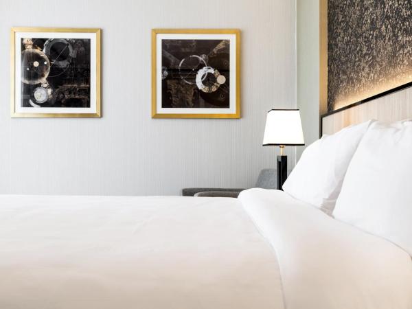 Holiday Inn Rosario, an IHG Hotel : photo 6 de la chambre chambre exécutive lit king-size - non-fumeurs