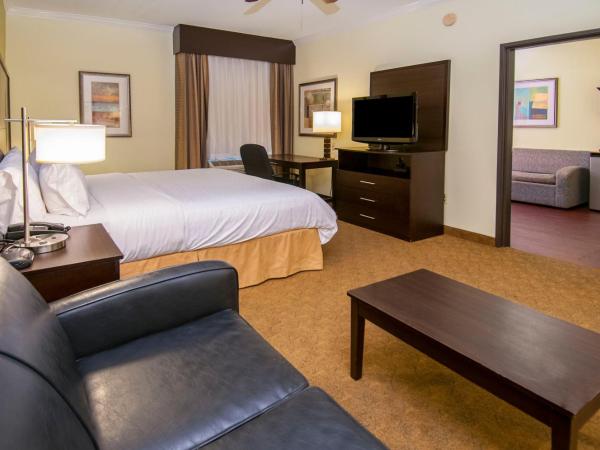 Holiday Inn Express Hotel & Suites Houston North Intercontinental, an IHG Hotel : photo 4 de la chambre suite lit king-size – non-fumeurs